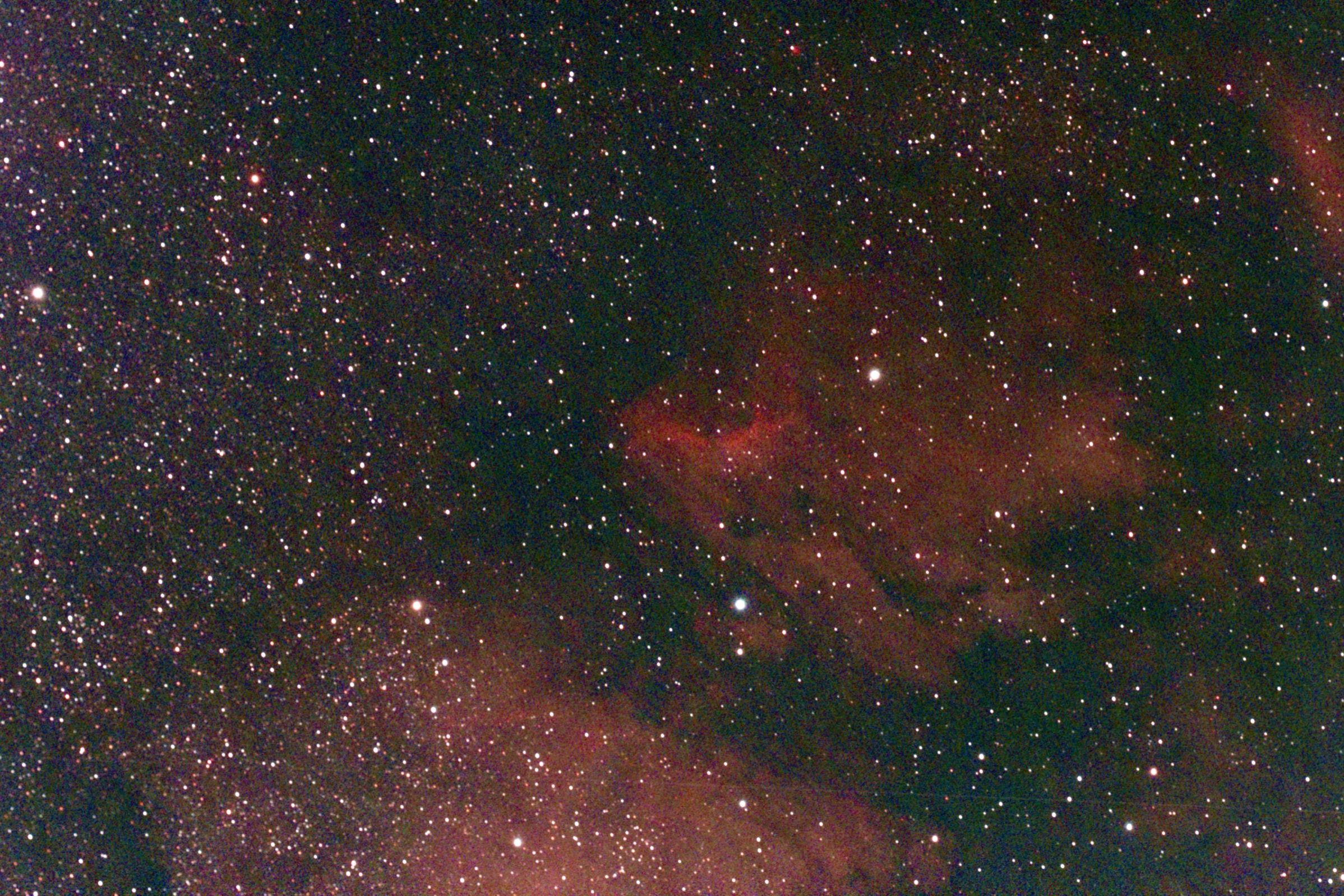 The Pelican Nebula, imaged from Decker House